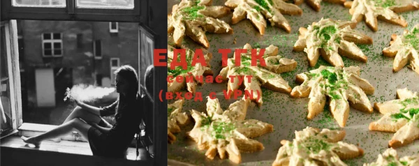 твердый Новозыбков